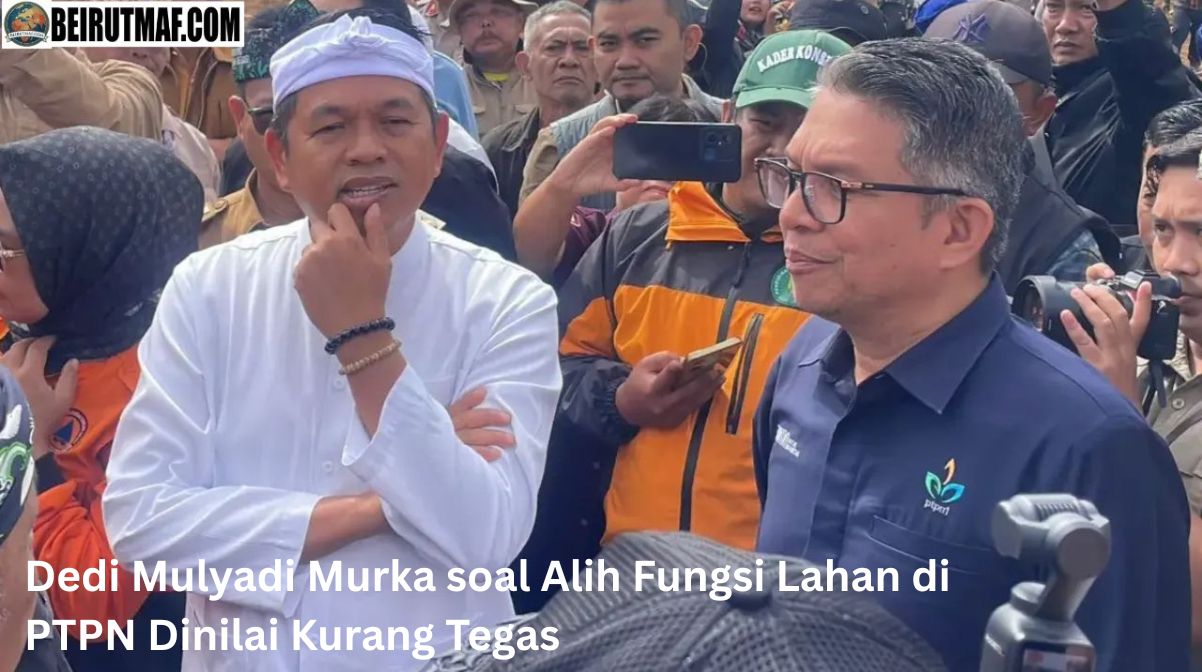 Dedi Mulyadi Murka soal Alih Fungsi Lahan di Pangalengan, PTPN Dinilai Kurang Tegas