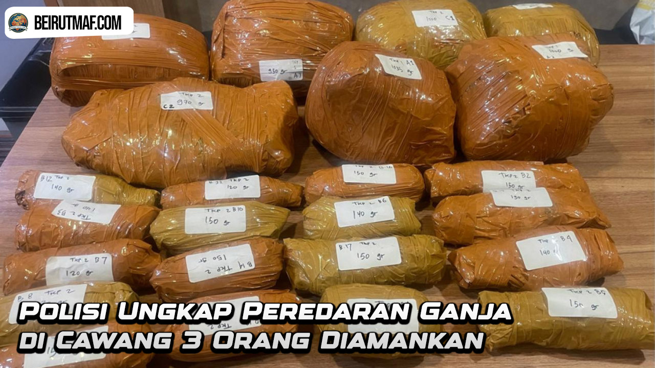 Polisi Ungkap Peredaran Ganja di Cawang 3 Orang Diamankan